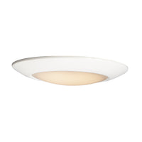 Diverse Flush Mount