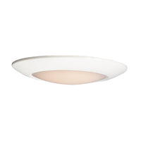 Diverse Flush Mount
