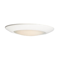 Diverse Flush Mount