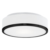 Charlie Flush Mount