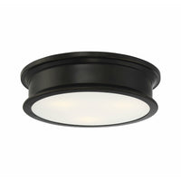 Watkins Flush Mount