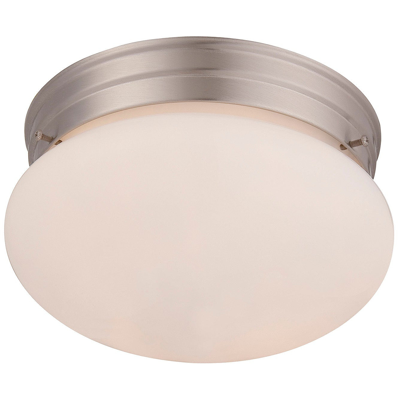 2-Light Ceiling Light