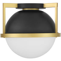 Carlysle 1-Light Ceiling Light