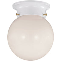 1-Light Ceiling Light