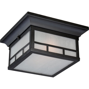 Drexel 2-Light Outdoor Ceiling Light