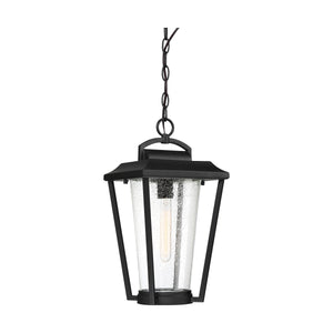 Lakeview 1-Light Outdoor Pendant