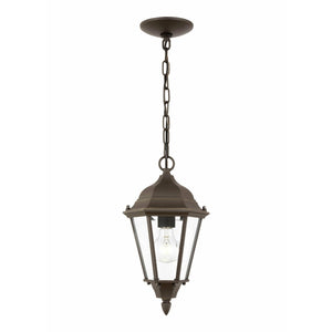 Bakersville 1-Light Outdoor Pendant