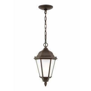 Bakersville 1-Light Outdoor Pendant