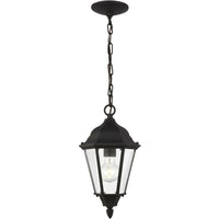 Bakersville Outdoor Pendant