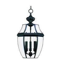 South Park Outdoor Pendant