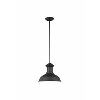 Fredricksburg 1-Light Outdoor Pendant