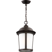 Calder 1-Light Outdoor Pendant