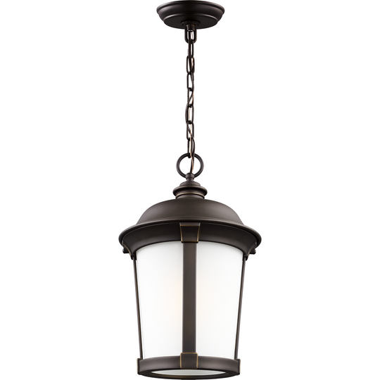 Calder 1-Light Outdoor Pendant