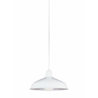 Painted Shade 1-Light Pendant
