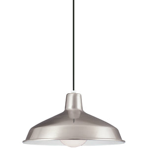 Painted Shade Pendant Brushed Stainless