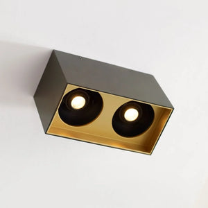 Exo 6 Dual Flush Mount