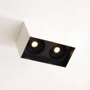 Exo 6 Dual Flush Mount