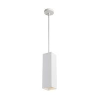 Exo 18 Pendant (12" Stem)
