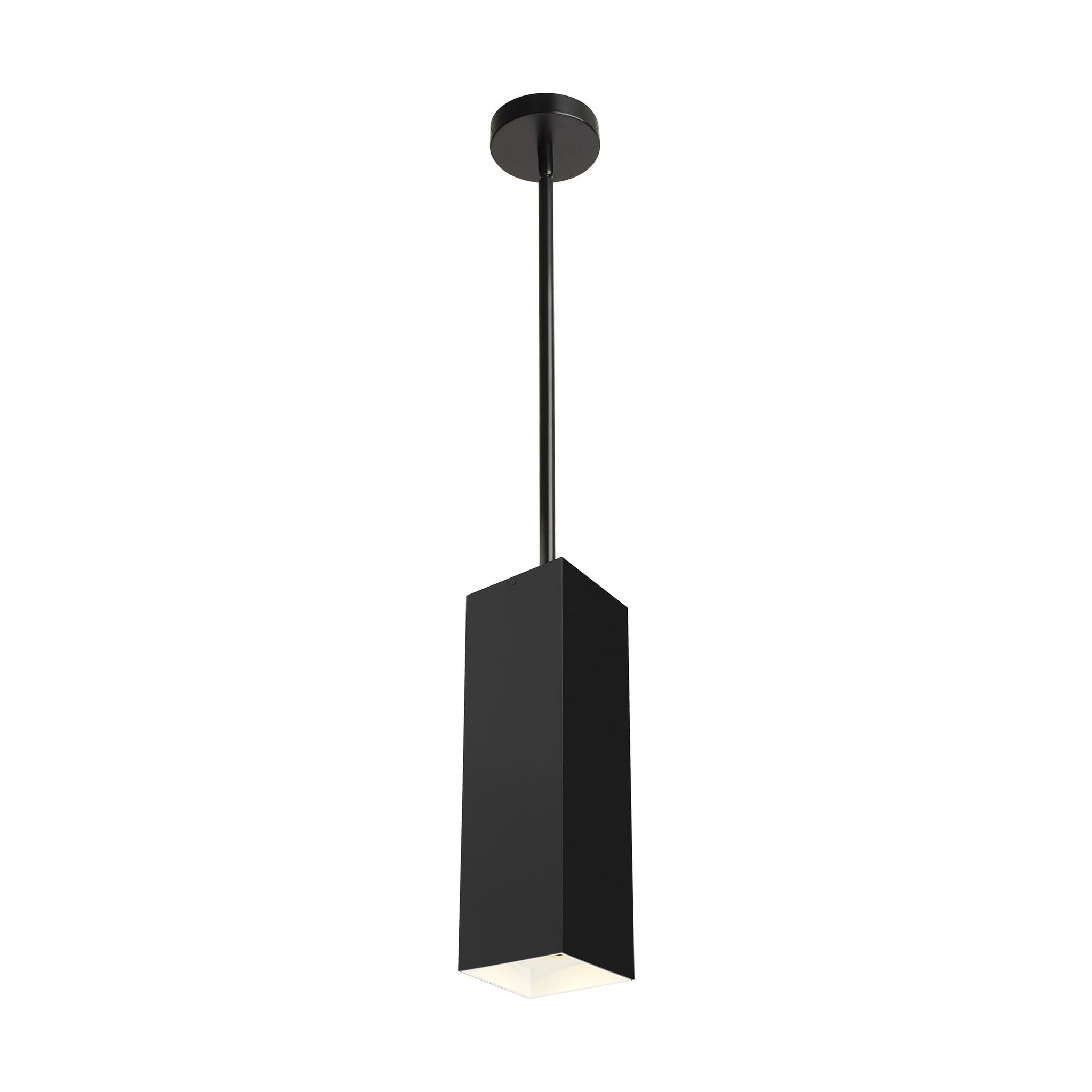 Exo 18 Pendant (12" Stem)