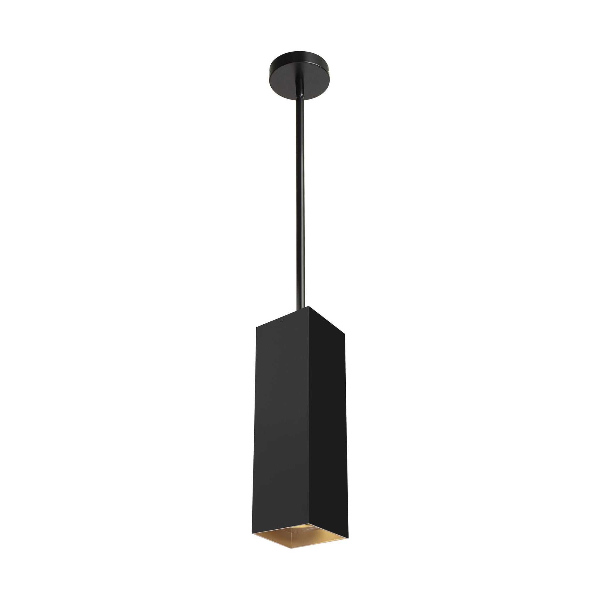 Exo 18 Pendant (12" Stem)