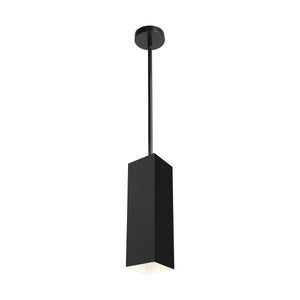 Exo 18 Pendant (12" Stem)