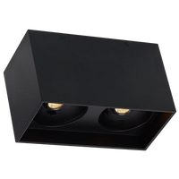 Exo 6 Dual Flush Mount