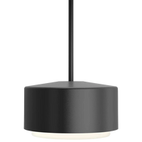 Roton 12 Outdoor Pendant