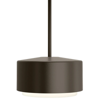 Roton 12 Outdoor Pendant