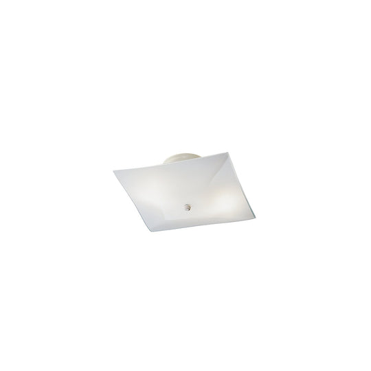 Ceiling Space Flush Mount