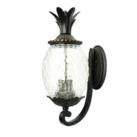 Lanai Outdoor Wall Light