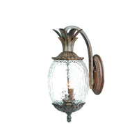 Lanai Outdoor Wall Light