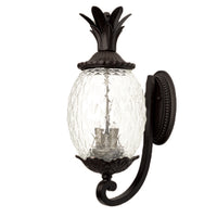 Lanai Outdoor Wall Light