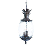 Lanai Outdoor Pendant