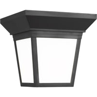 Lavon Outdoor Ceiling Light