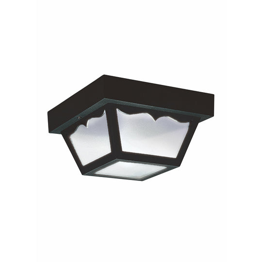 Outdoor Ceiling Light