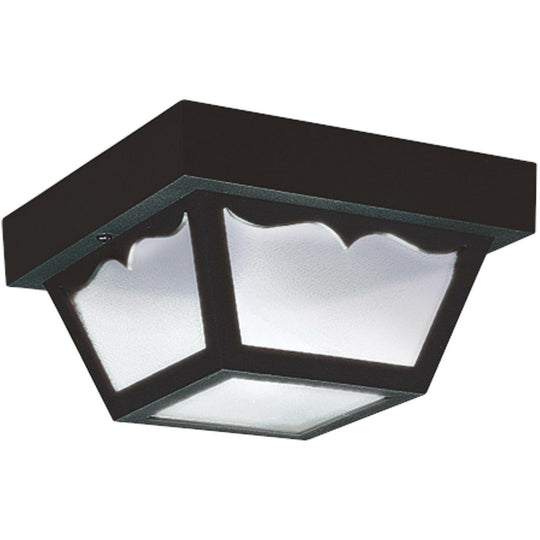 Outdoor Ceiling Light