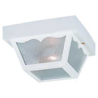 Outdoor Ceiling Light
