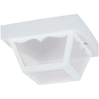 Outdoor Ceiling Light