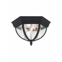 Wynfield Outdoor Ceiling Light