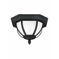 Childress 2-Light Outdoor Ceiling Light