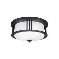 Crowell 2-Light Outdoor Ceiling Light
