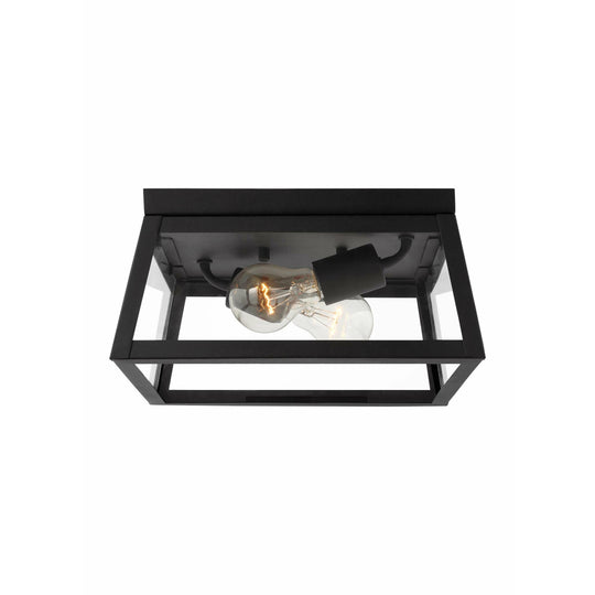 Founders 2-Light Outdoor Ceiling Light
