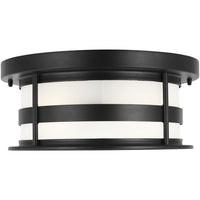 Wilburn Outdoor Ceiling Light