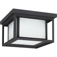 Hunnington Outdoor Ceiling Light