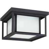 Hunnington Outdoor Ceiling Light