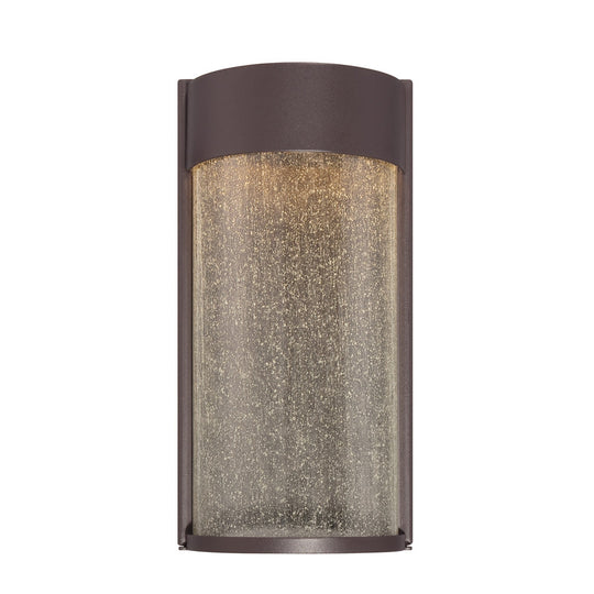 Rain 12" LED Indoor/Outdoor Wall Light