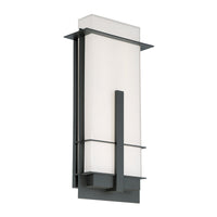 Kyoto 20" LED Indoor/Outdoor Wall Light