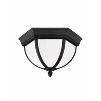 Wynfield 2-Light Outdoor Ceiling Light