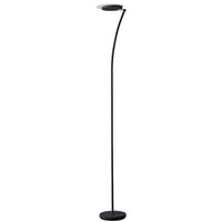 LED Floor Lamp (Task)