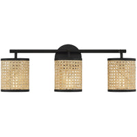 Jaylar 3-Light Bathroom Vanity Light